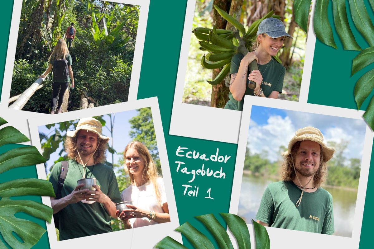 Maniok, Kochbanane und zu viel Chicha - el origen