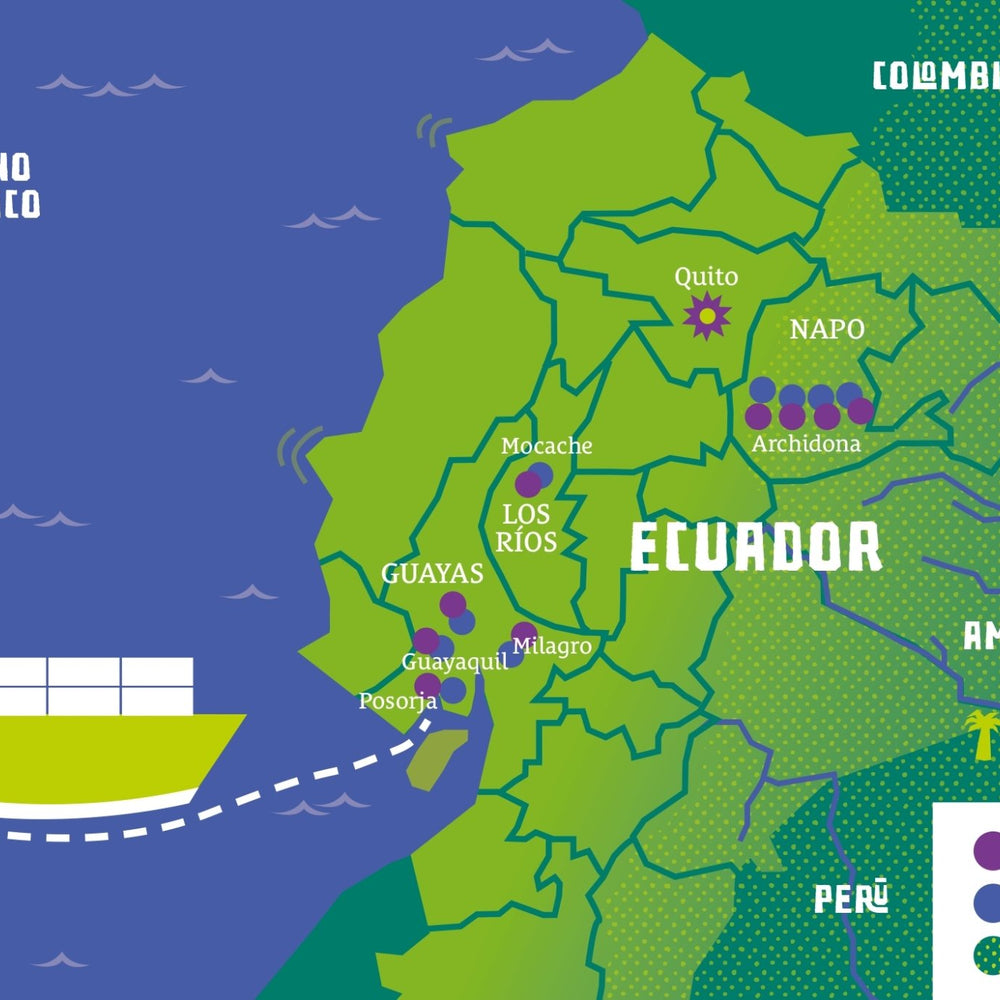 Der Ursprung unserer knusprigen Chips in Ecuador - el origen