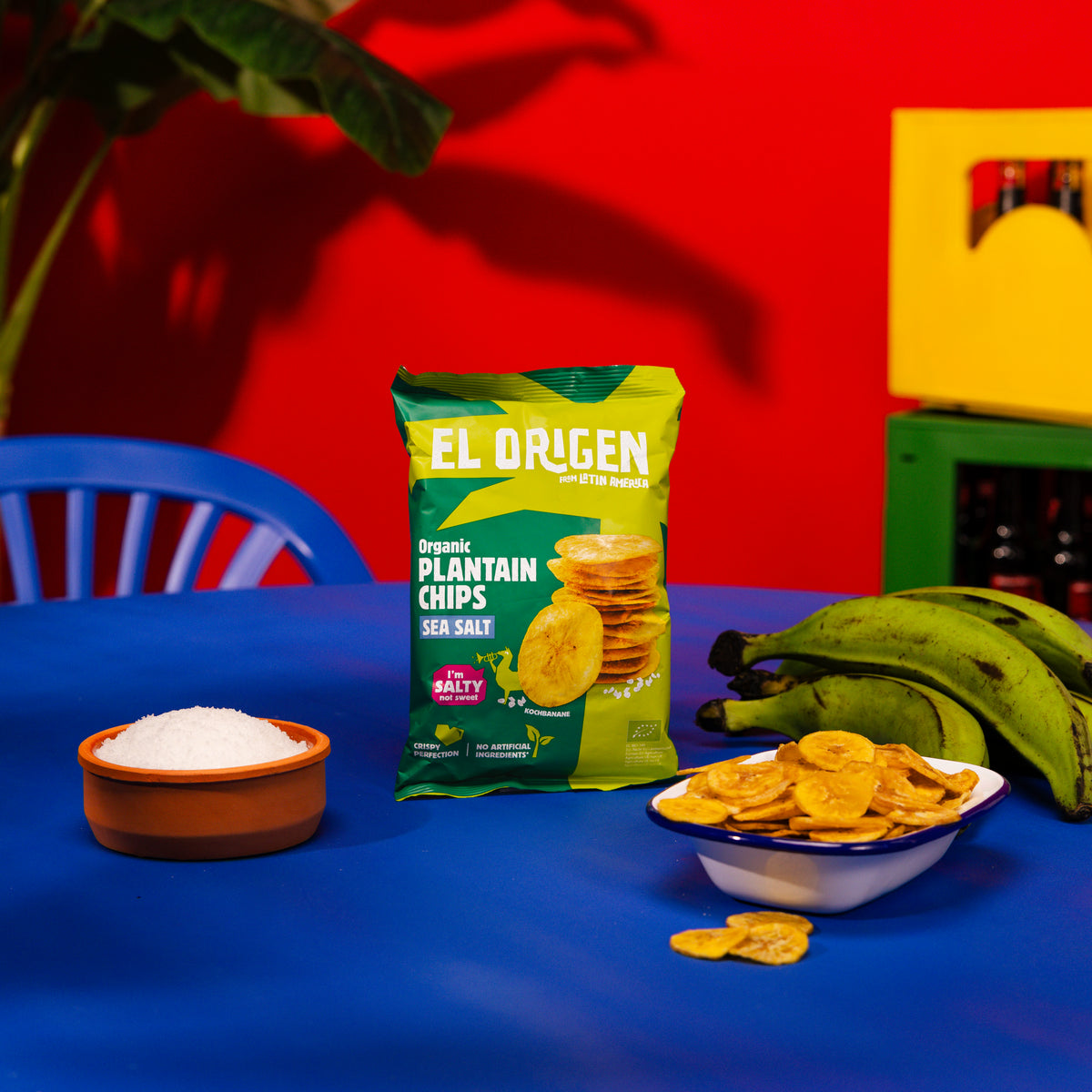Bio Kochbananen Chips mit Meersalz - el origen