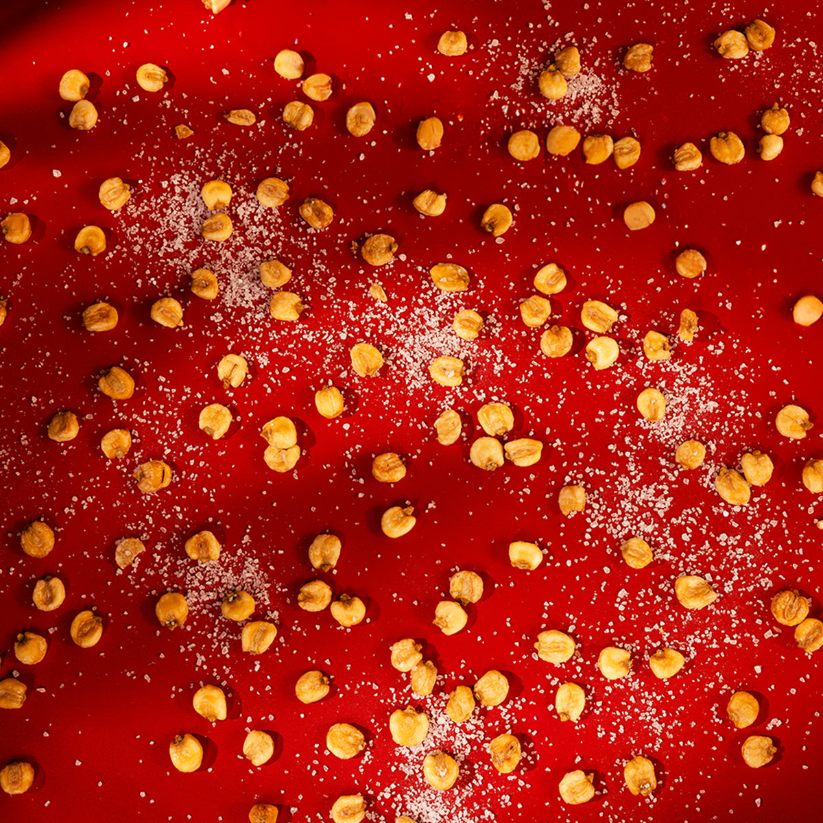 Frittierte Bio Riesenmais-Körner mit Meersalz auf rotem Hintergrund – Jumbo Maíz Nahaufnahme