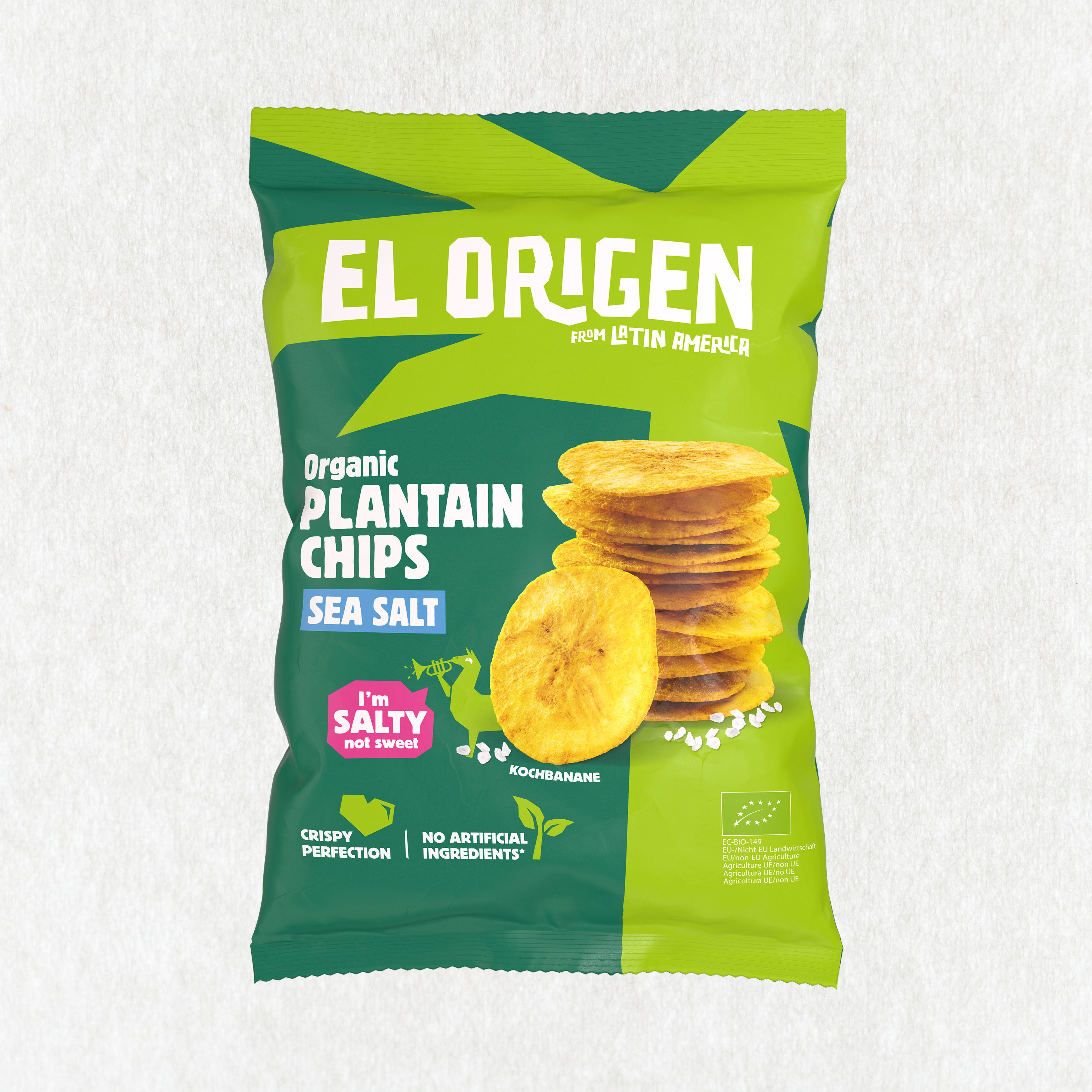 Bio Kochbananen Chips mit Meersalz