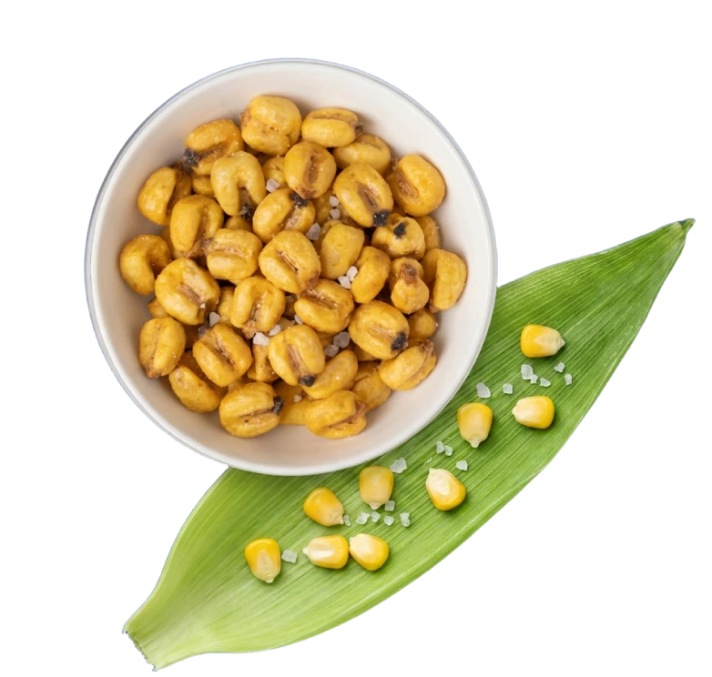 Schale mit Crunchy Jumbo Maíz – frittierter Bio Riesenmais mit Meersalz auf einem Maisblatt