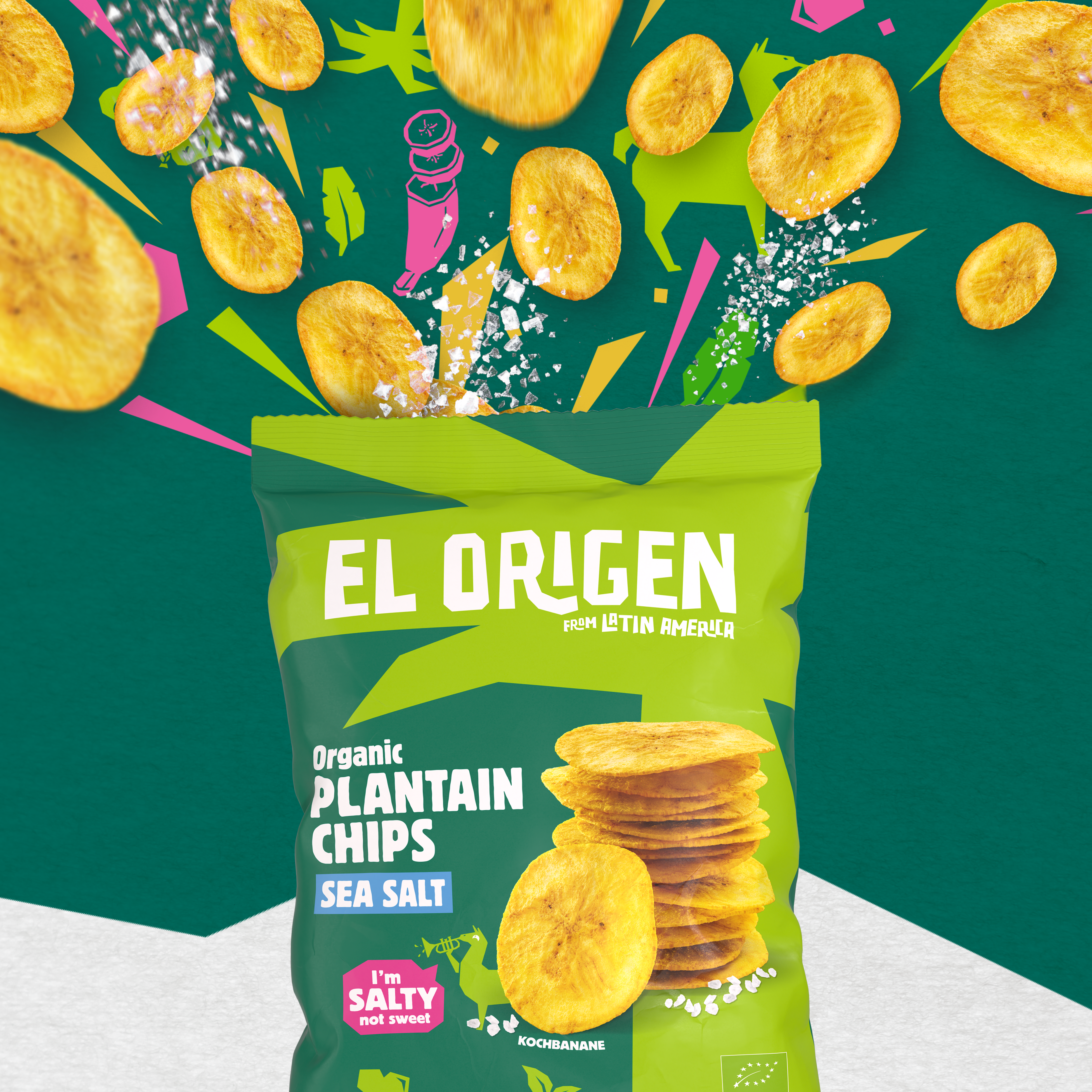 Bio Kochbananen Chips mit Meersalz