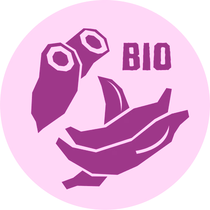 Icon Bio – el origen Peru-Snacks